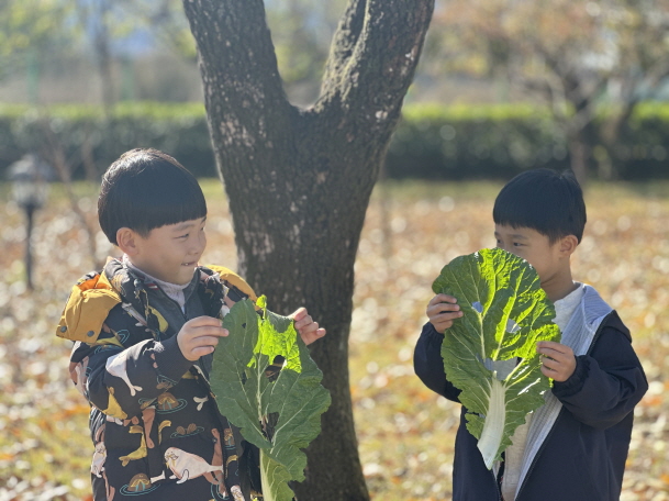 배추로 만든 가면~